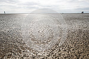 Waddenzee in the Netherlands