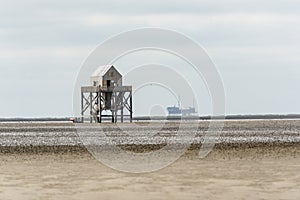 Waddenzee in the Netherlands photo