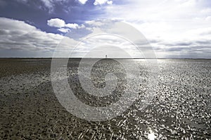 Waddenzee in the Netherlands