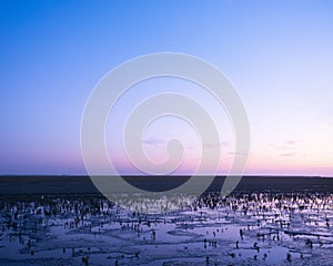 Waddenzee or wadd sea during sunset seen from jetty of ameland ferry