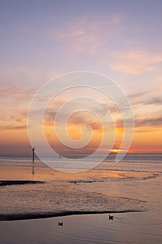 Waddenzee or wadd sea during sunset seen from jetty of ameland ferry photo