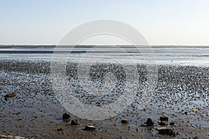 Waddenzee, Wadden Sea