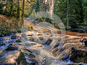 Wade across brook nearby PrÃ¡Å¡ily