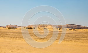 Wadi Al-Hitan Whale Valley , Western Desert, Fayoum Governorate, Egypt.