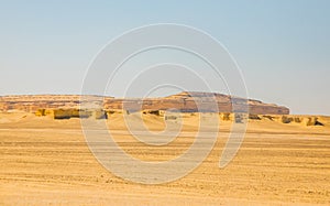 Wadi Al-Hitan Whale Valley , Western Desert, Fayoum Governorate, Egypt.