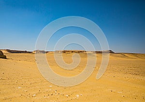 Wadi Al-Hitan Whale Valley , Western Desert, Fayoum Governorate, Egypt.