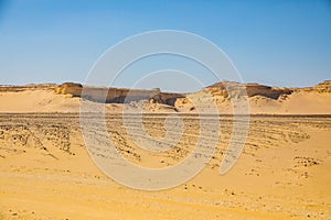 Wadi Al-Hitan Whale Valley , Western Desert, Fayoum Governorate, Egypt.