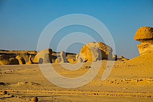 Wadi Al-Hitan Whale Valley , Western Desert, Fayoum Governorate, Egypt.