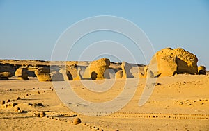 Wadi Al-Hitan Whale Valley , Western Desert, Fayoum Governorate, Egypt.