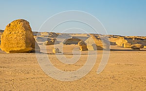 Wadi Al-Hitan Whale Valley , Western Desert, Fayoum Governorate, Egypt.