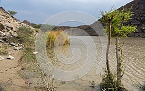 Wadi Al Shawkha, Ras Al Khaimah