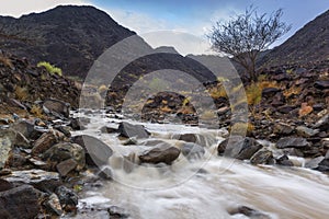 Wadi Al Shawkha, Ras Al Khaimah