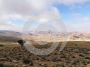 Wadi Araba - Jordan