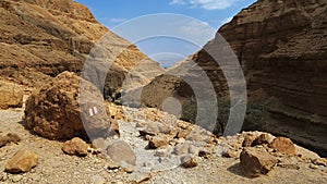 Wadi Arugot in Ein Gedi nature reserve , Israel