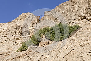 Wadi Arugot River, ein Gedi nature reserve, dead sea