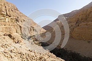 Wadi Arugot River, ein Gedi nature reserve, dead sea
