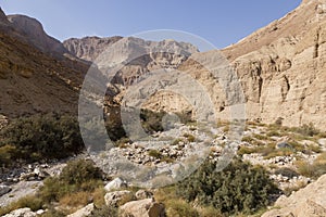 Wadi Arugot River, ein Gedi nature reserve, dead sea, Israel