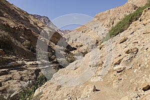 Wadi Arugot River, ein Gedi nature reserve, dead sea, Israel