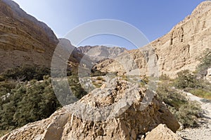 Wadi Arugot River, ein Gedi nature reserve, dead sea, Israel