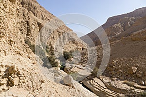 Wadi Arugot River, ein Gedi nature reserve, dead sea, Israel