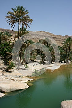 Wadi Bani Khalid photo