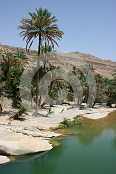 Wadi Bani Khalid photo