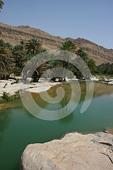 Wadi Bani Khalid photo