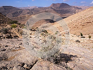 Wadi Bani Khalid photo