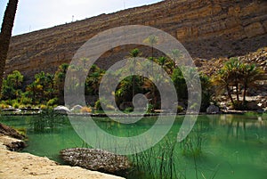 Wadi Bani Khalid Oman photo