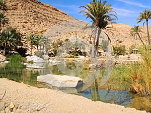 Wadi Bani Khalid, Oman photo