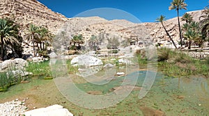 Wadi Bani Khalid - Omani desert - Sultanate of Oman photo