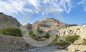 Wadi David Dry Stream near the Dead Sea Shore