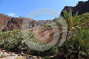 Wadi Dirhur Canyon, Socotra island, Indian ocean, Yemen