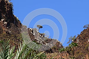 Wadi Dirhur Canyon, Socotra island, Indian ocean, Yemen