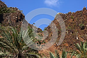 Wadi Dirhur Canyon, Socotra island, Indian ocean, Yemen