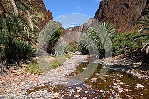 Wadi Dirhur Canyon, Socotra island, Indian ocean, Yemen