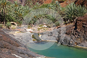 Wadi Dirhur Canyon, Socotra island, Indian ocean, Yemen