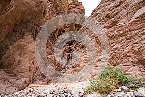 Wadi El Veshwash canyon in Sinai Peninsula