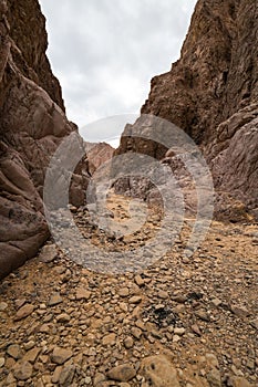 Wadi El Veshwash canyon in Sinai Peninsula