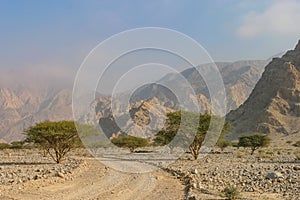 A Wadi Near Ras Al Khaimah City