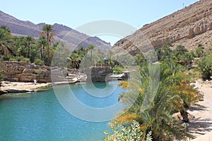 Wadi in Oman. A Water Paradise in the desert