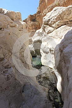 Wadi in Oman. A Water Paradise in the desert