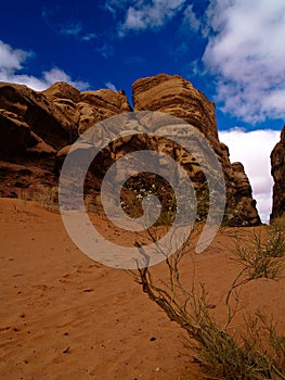 Wadi rum