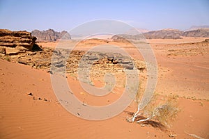 Wadi Rum desert