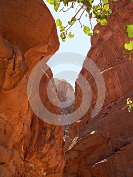 Wadi rum desert ii