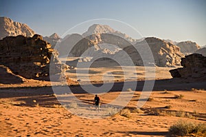 Wadi Rum desert, Jordan