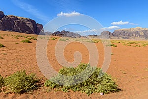 Wadi Rum desert in Jordan