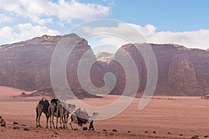 Wadi Rum desert landscape in Jordan with camels chilling in the morning photo