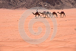 Wadi Rum, Jordan