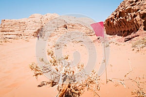 Wadi rum, Jordan - 5th October, 2022: Athlete competitors fast walk in desert pass markings on extreme hot in challenging Ultra X